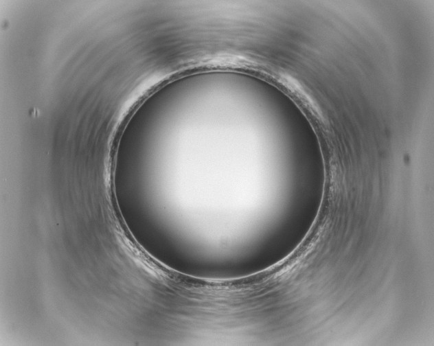 X0000088091232200705111456