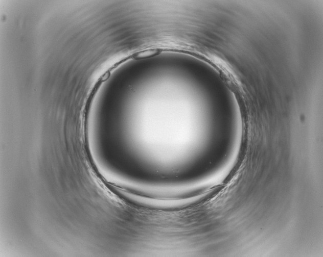 X0000088091238200705111456