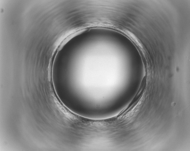 X0000088091246200705111456