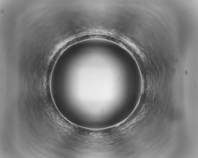 X0000088091264200705111455