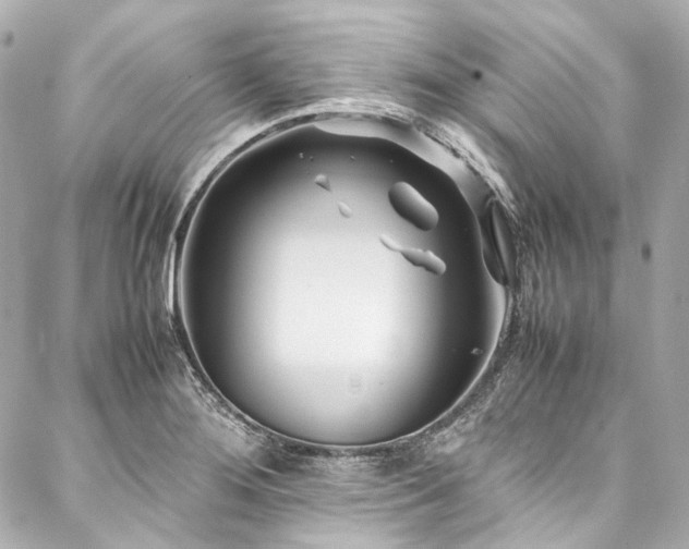 X0000088091276200705111455