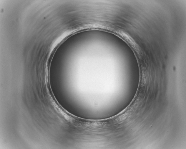X0000088091286200705111455