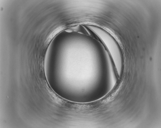 X0000088091289200705111455
