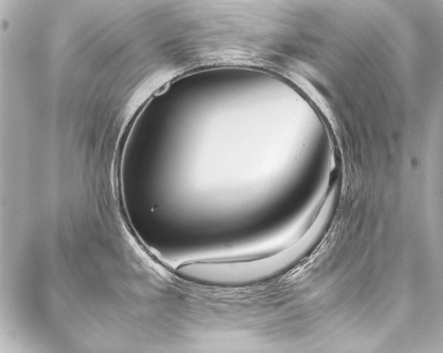 X0000088091293200705111455