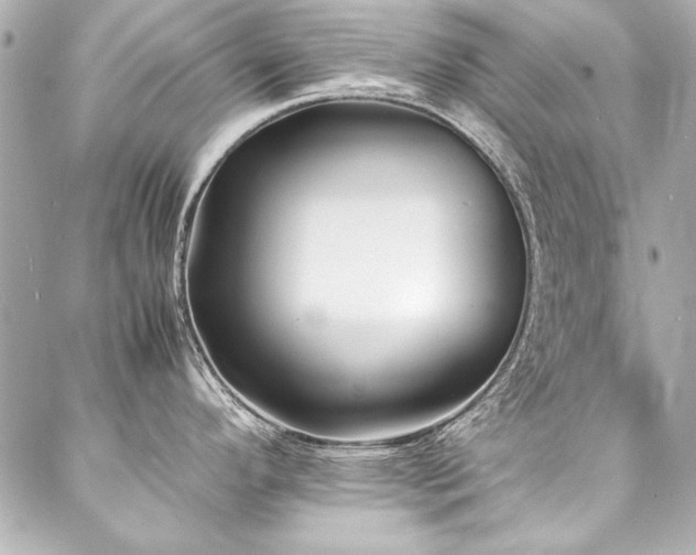X0000088091296200705111455