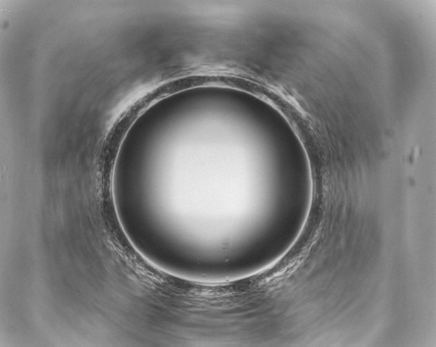 X0000088091311200705111454