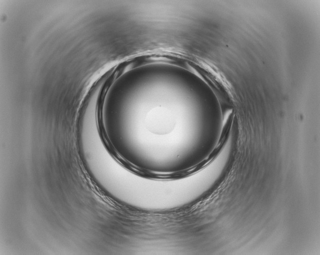 X0000088091316200705111454