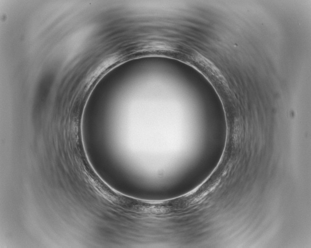 X0000088091321200705111454