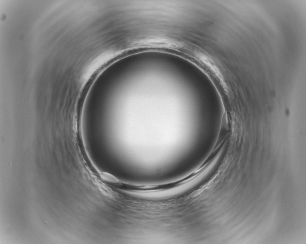 X0000088091328200705111454