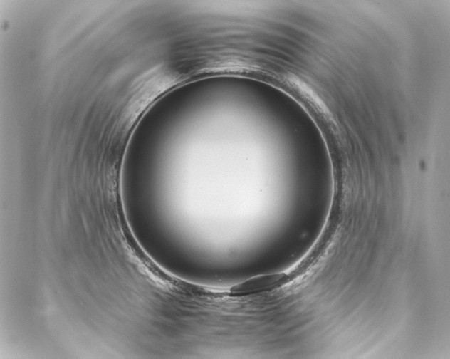 X0000088091329200705111454