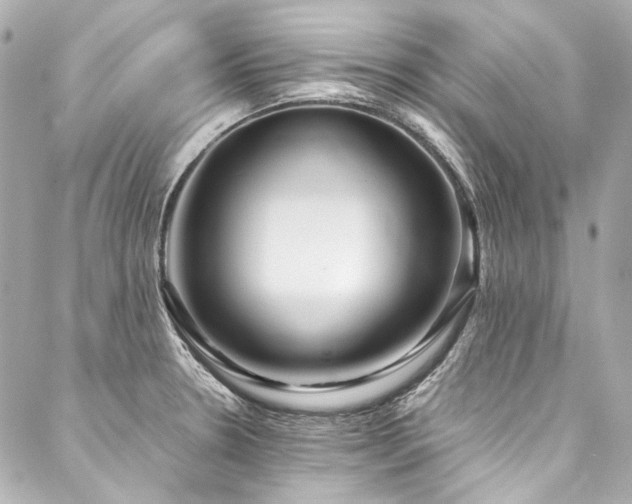 X0000088091330200705111454