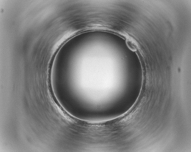 X0000088091333200705111454