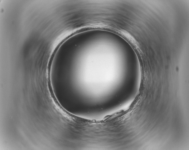 X0000088091335200705111455