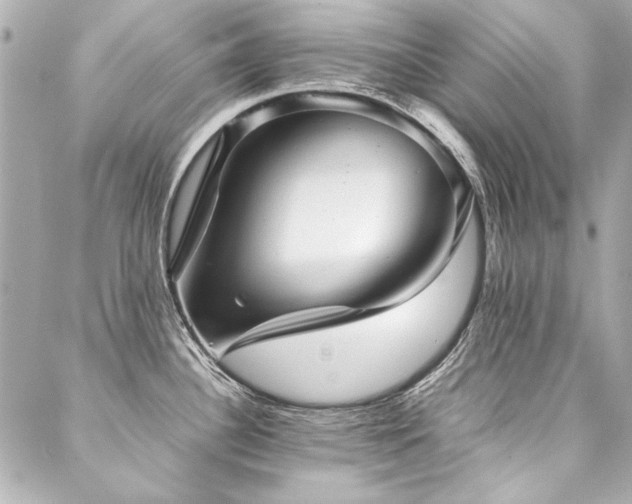 X0000088091340200705111455