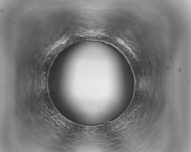 X0000088091350200705111454