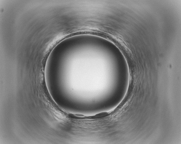 X0000088091363200705111454