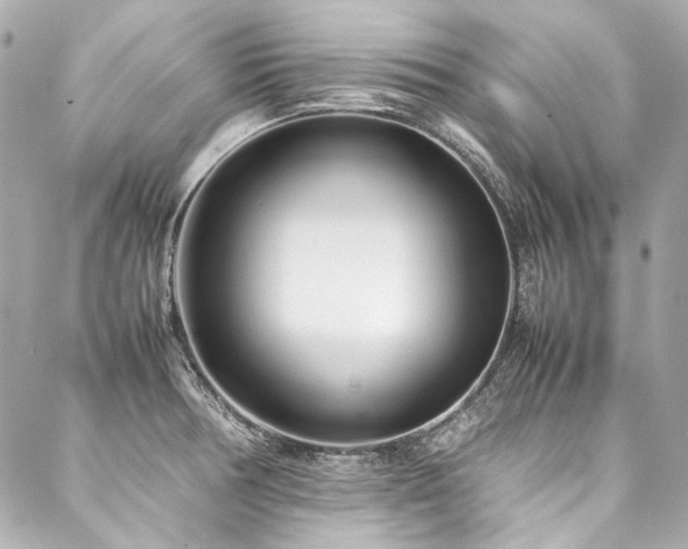 X0000088091378200705111453