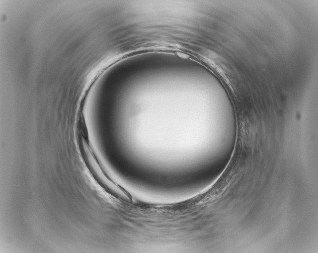 X0000088091379200705111453