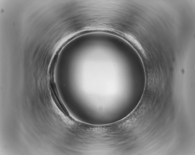 X0000088091380200705111453