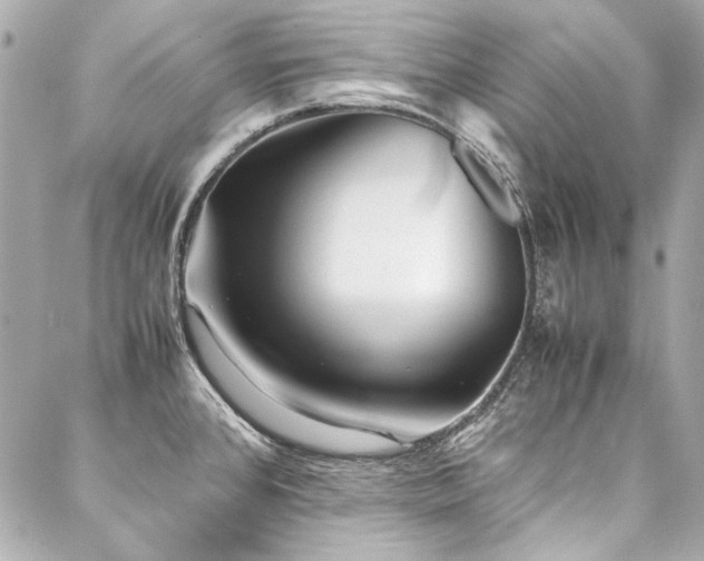X0000088091384200705111453