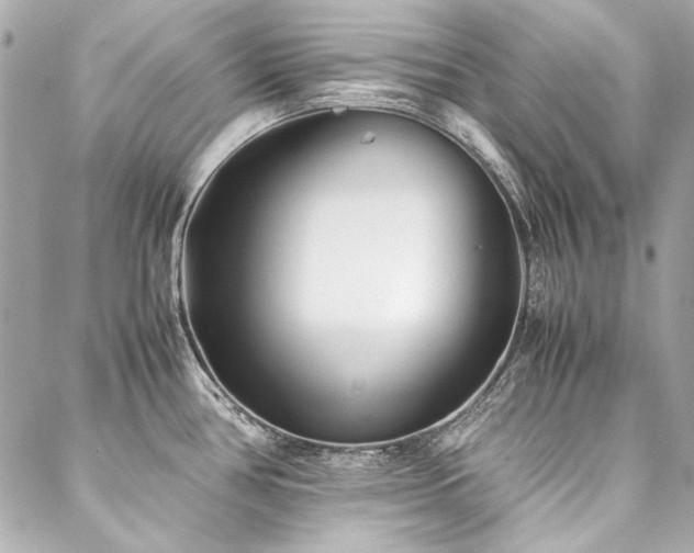 X0000088091386200705111453