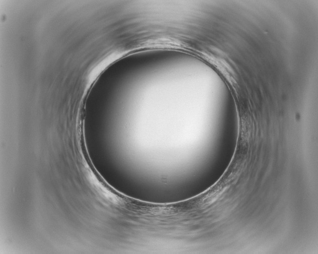 X0000088091387200705111453