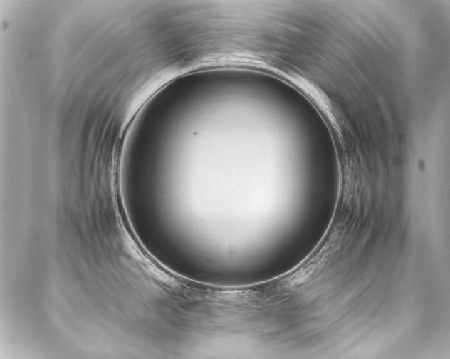 X0000088091390200705111453