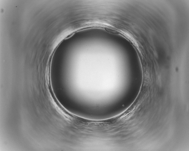 X0000088091391200705111453