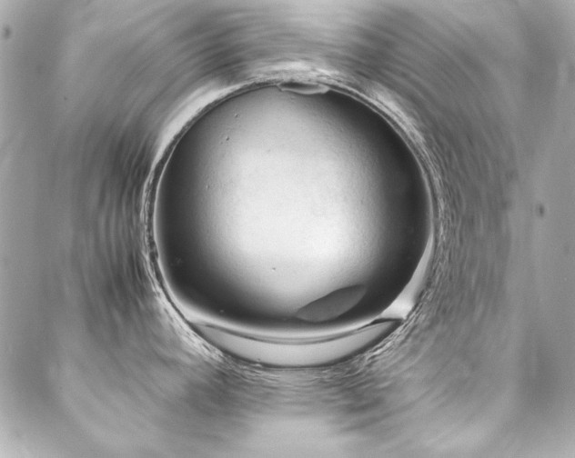 X0000088091392200705111453