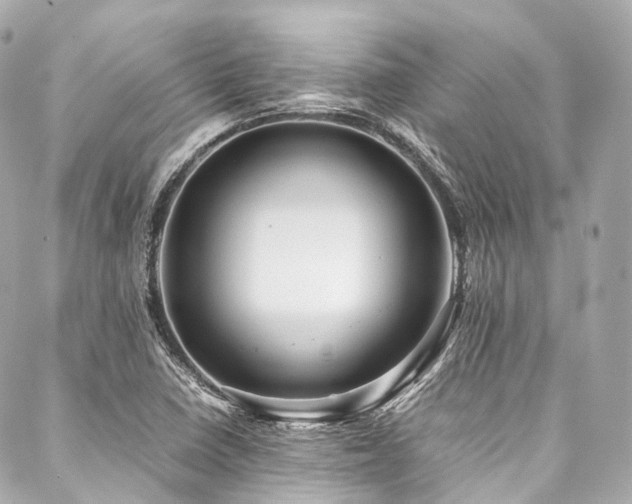 X0000088091410200705111453