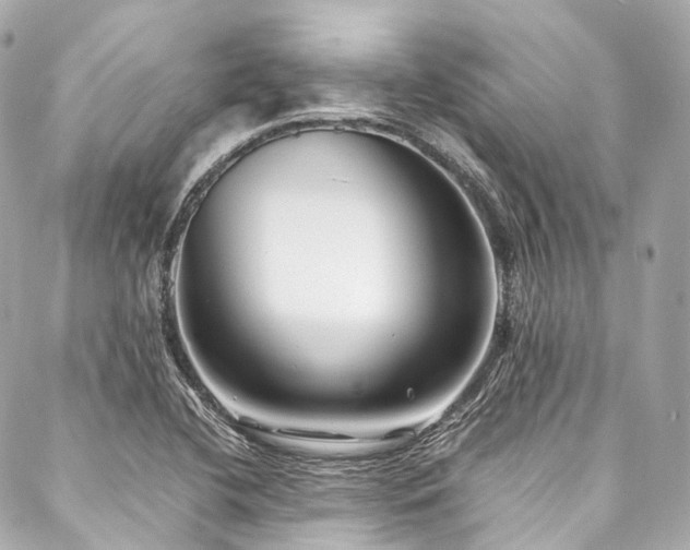 X0000088091412200705111453