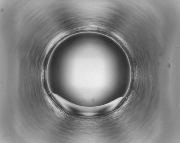 X0000088091418200705111453