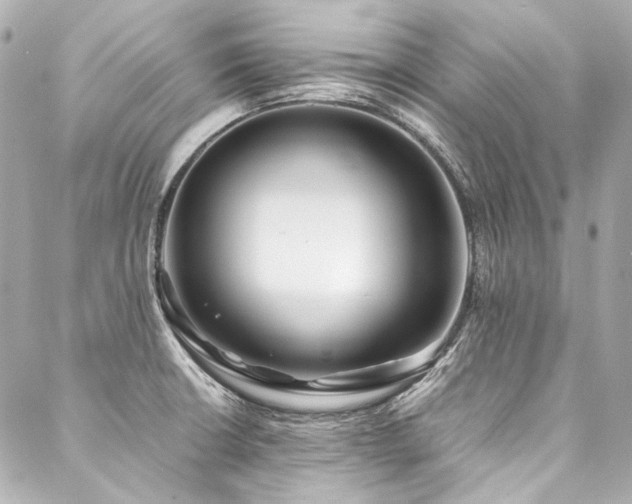X0000088091426200705111453