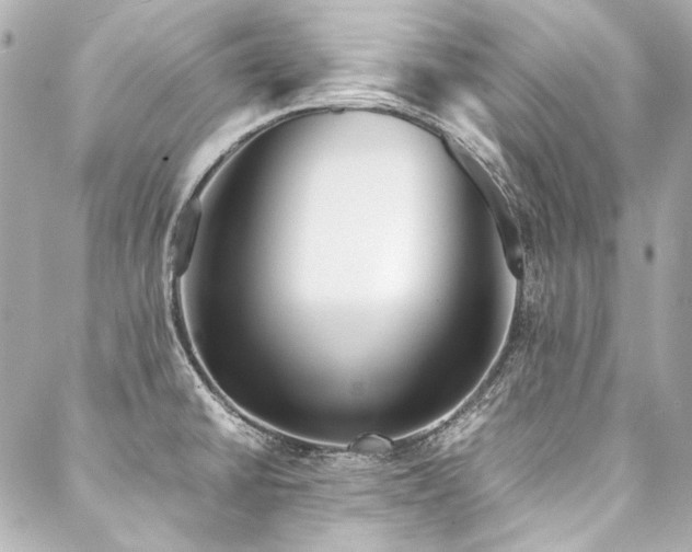 X0000088091430200705111453