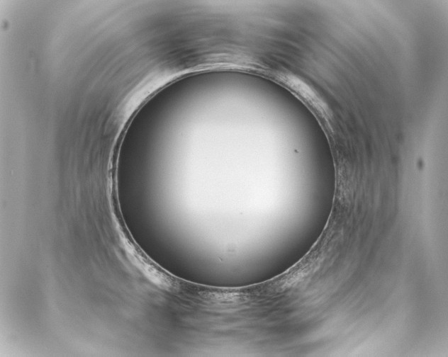 X0000088091431200705111453