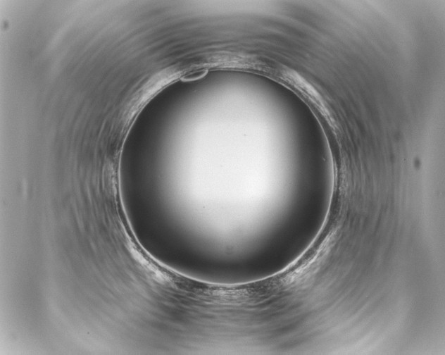 X0000088091433200705111453