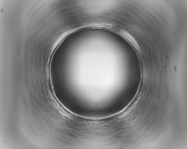 X0000088091436200705111453