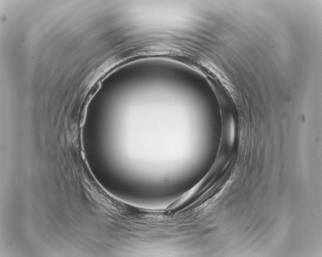 X0000088091465200705111452