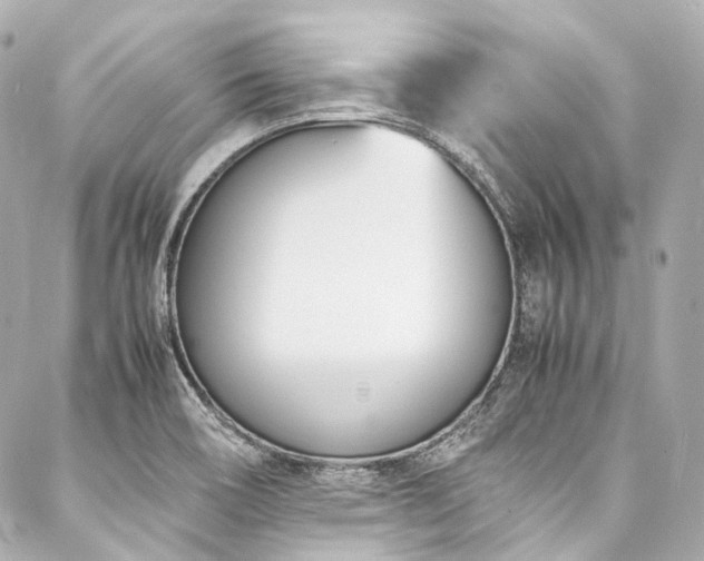 X0000088091466200705111452