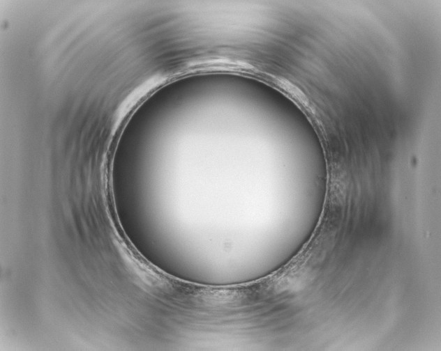 X0000088091474200705111452