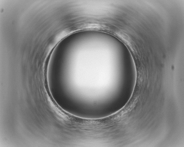 X0000088091475200705111452