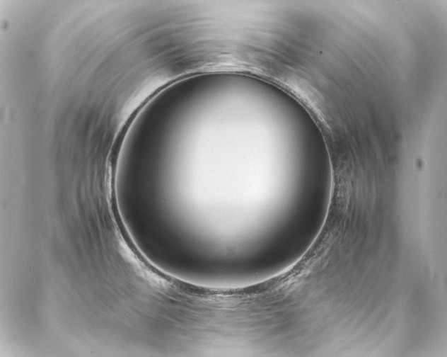 X0000088091476200705111452