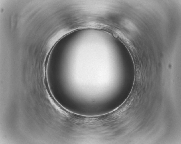 X0000088091479200705111452