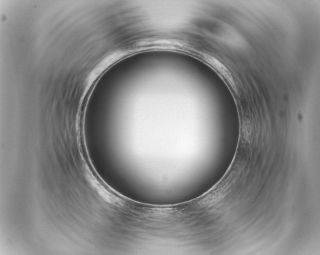 X0000088091482200705111452