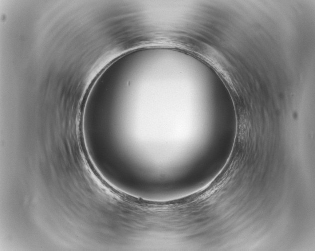 X0000088091484200705111452