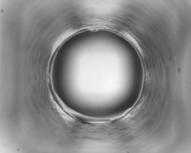 X0000088091485200705111452
