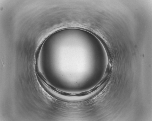 X0000088091508200705111451