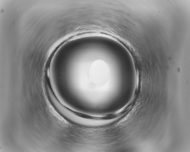X0000088091518200705111451