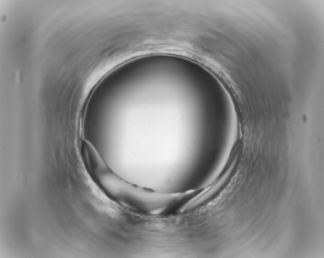 X0000088091520200705111451