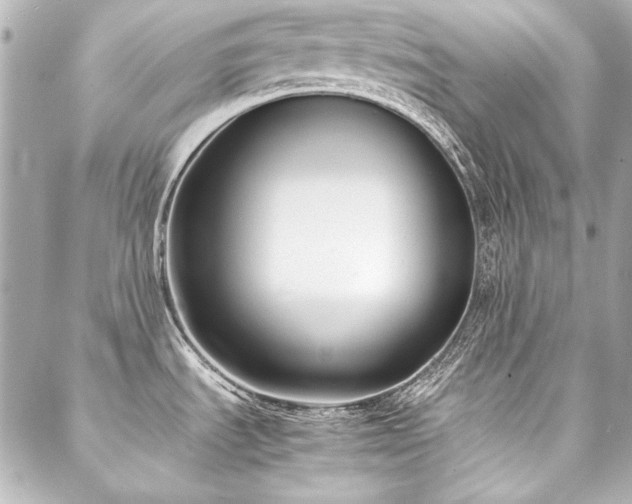 X0000088091535200705111452